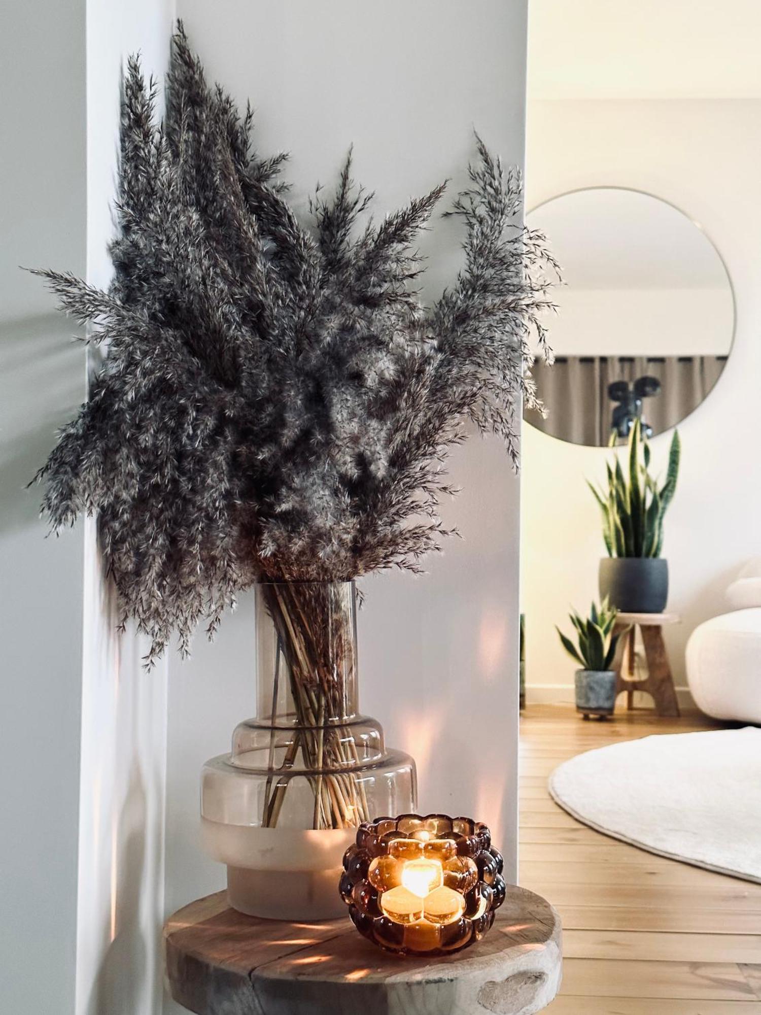 Villa O Wood & Chic Cucq